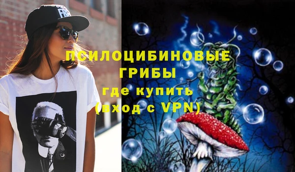 меф Корсаков