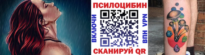 omg как войти  Ладушкин  Галлюциногенные грибы Magic Shrooms  купить наркотик 